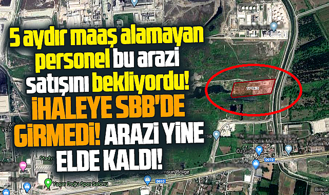 Samsun'da Tekkeköy Belediyesi ihale ile satışa çıkarttığı o araziyi satamadı!