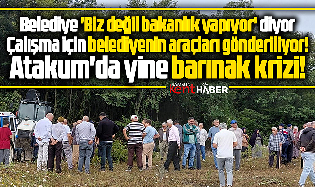 Samsun'un Atakum ilçesi Çatmaoluk mahallesinde yine barınak krizi!