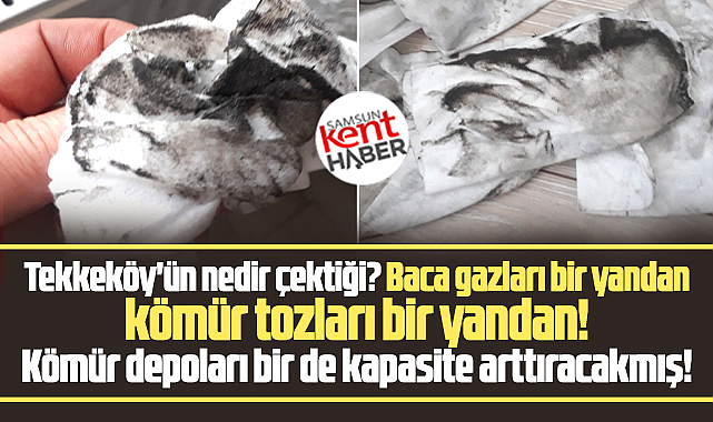 Samsun'un Tekkeköy ilçesinde kömür depoları evleri toz içinde bırakıyor