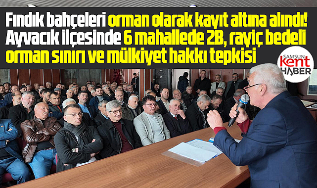 Samsun Ayvacık'ta çiftçilerden 2B ve yüksek rayiç bedeli tepkisi!