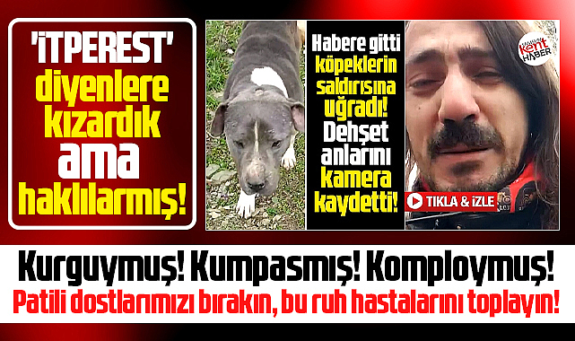 Samsun'da muhabirin başına gelenler ve sözde hayvansever sadistlere cevap!