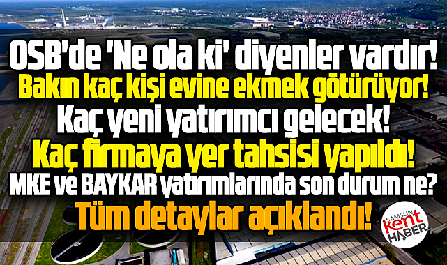 Samsun'da OSB'lerde son durum! Kaç istihdam, kaç yatırımcı var! Valilik açıkladı
