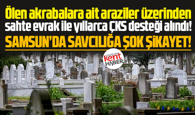 Samsun'da savcılığa şok şikayet! Sahte evrakla ÇKS desteği alındı!