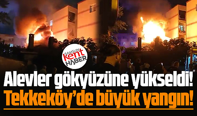 Samsun'da son dakika! Tekkeköy ilçesinde büyük yangın!