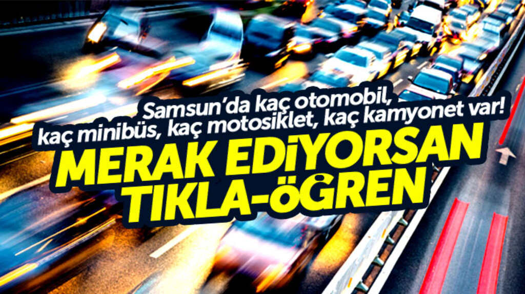 Samsun'da kaç otomobil, kaç kamyonet kaç minibüs, kaç motosiklet var