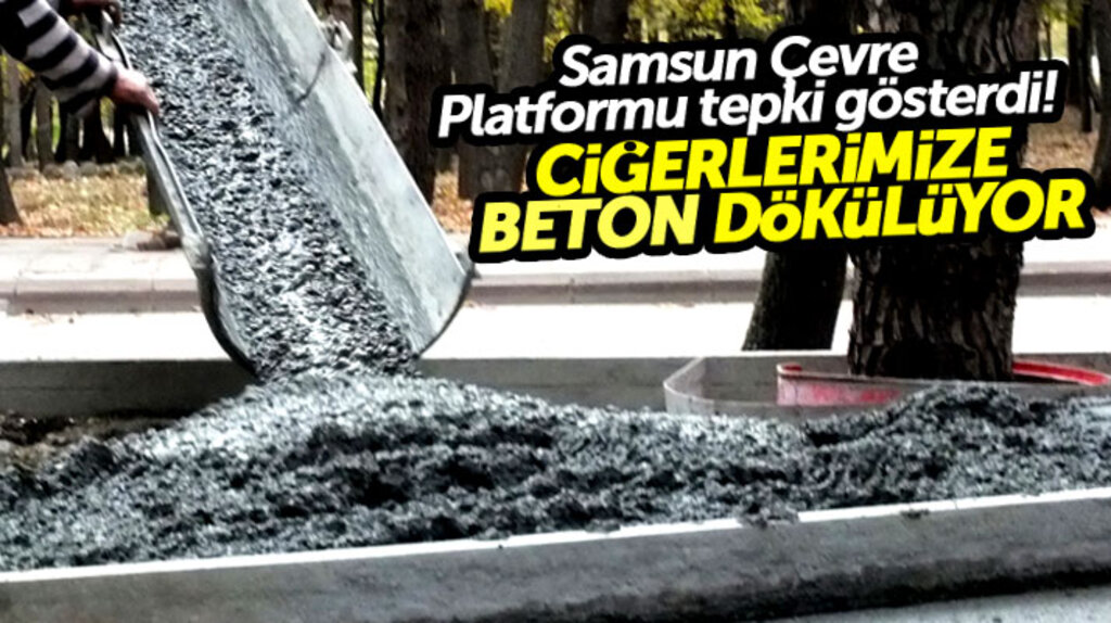 SAMÇEP Canik Belediyesi'nin Meşe Tesislerinde yaptığı çalışmaya tepki gösterdi