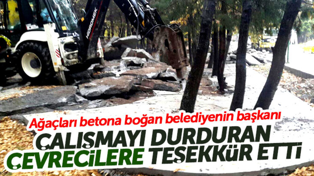 Osman Genç'ten Meşe Tesisleri açıklaması: Betonlar söküldü