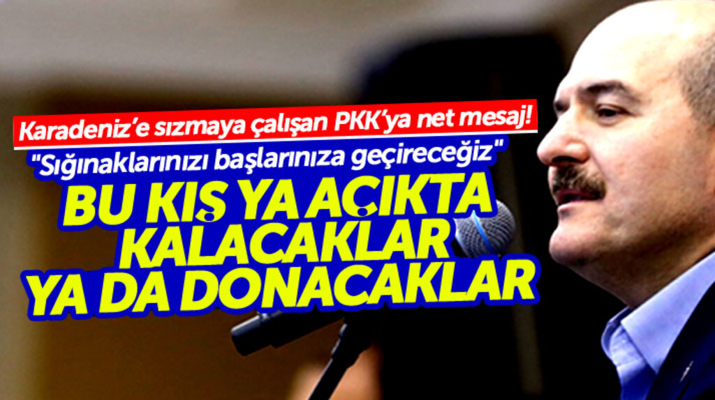 Süleyman Soylu PKK'ya gözdağı verdi: Bu kış ya açıkta kalacaklar ya da donacaklar