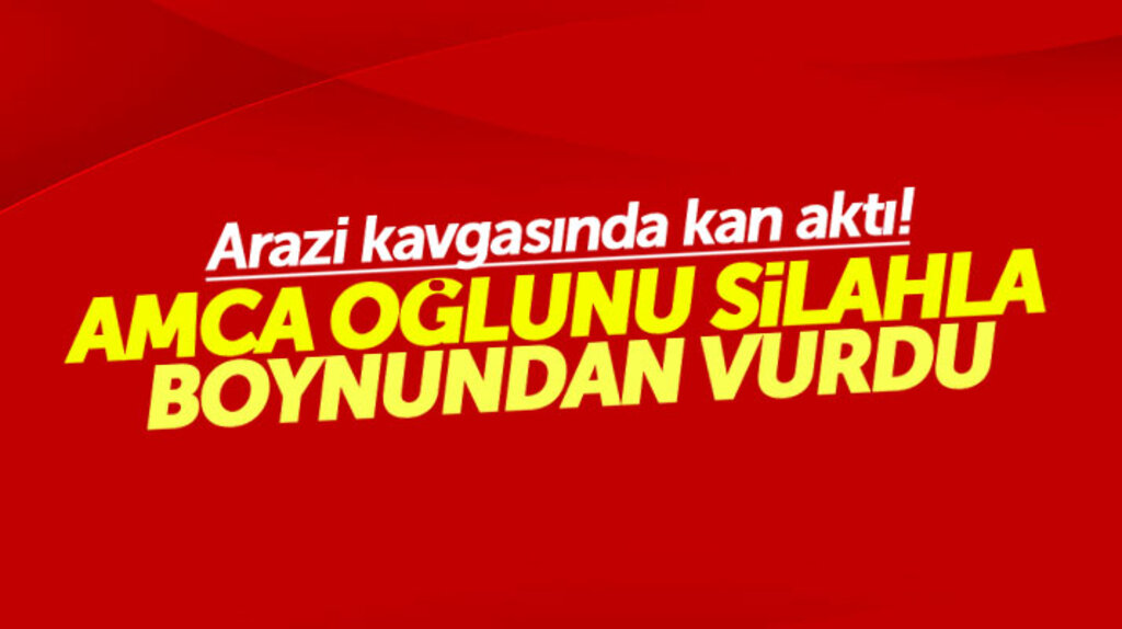 Samsun'da arazi kavgası: Amca oğlunun silahla boynundan vurdu