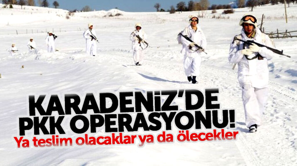 Karadenizde PKK operasyonu: Ya teslim olacaklar ya da ölecekler!