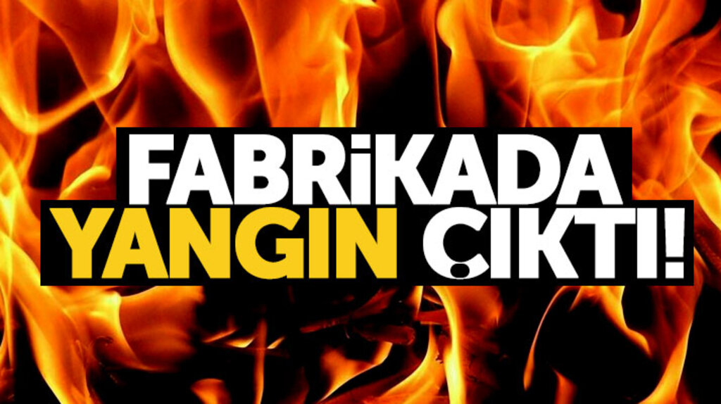 Samsun'da Organize Sanayi Bölgesinde bulunan palet fabrikasında yangın çıktı