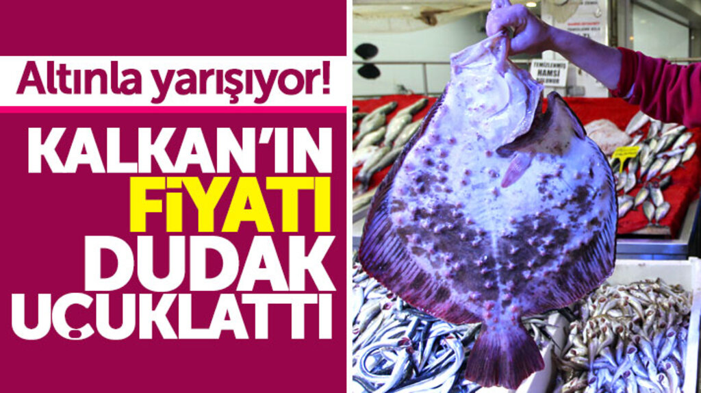Samsun'da avlanan kalkan balığının satış fiyatı dudak uçuklattı