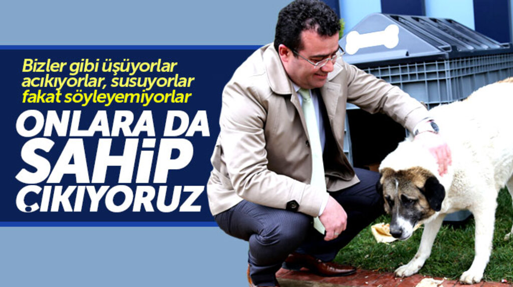 Atakum Belediyesi Başkanı İshak Taşçı: Sokak hayvanlarına sahip çıkıyoruz