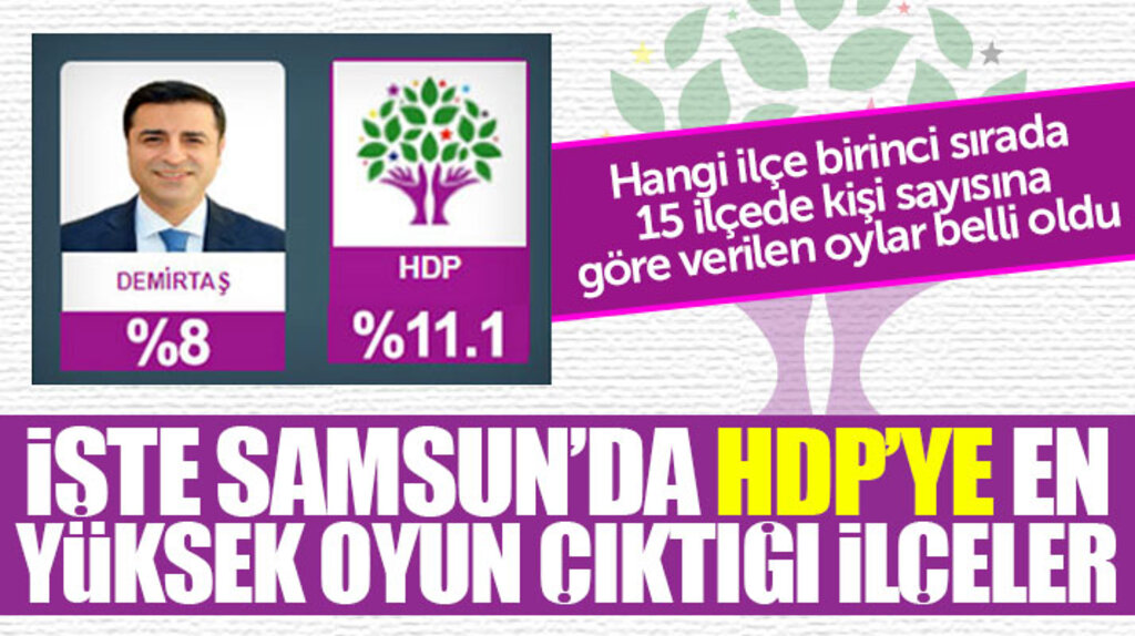 Samsun'da hangi ilçede kaç kişi HDP'ye oy verdi