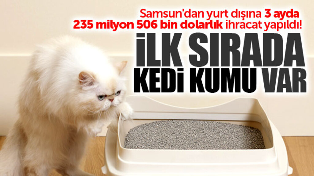 Samsun'dan yapılan 235 milyon 506 bin dolarlık ihracatta kedi kumu dikkat çekti
