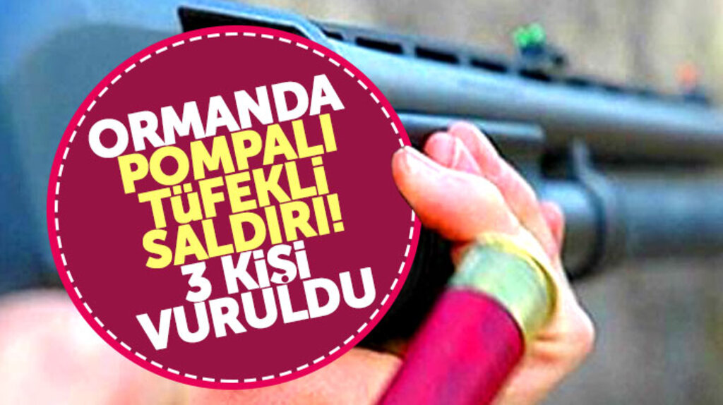 Samsun Vezirköprü'de ormanda piknik yapan 3 kişi pompalı tüfekli saldırıya uğradı