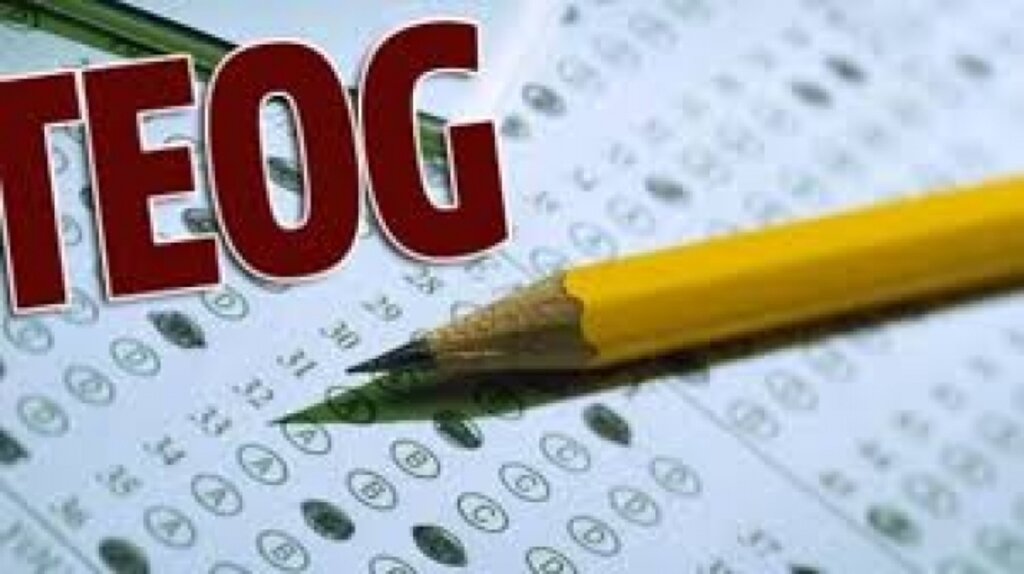 TEOG sınav sonuçları E-Okul Sisteminden açıklandı