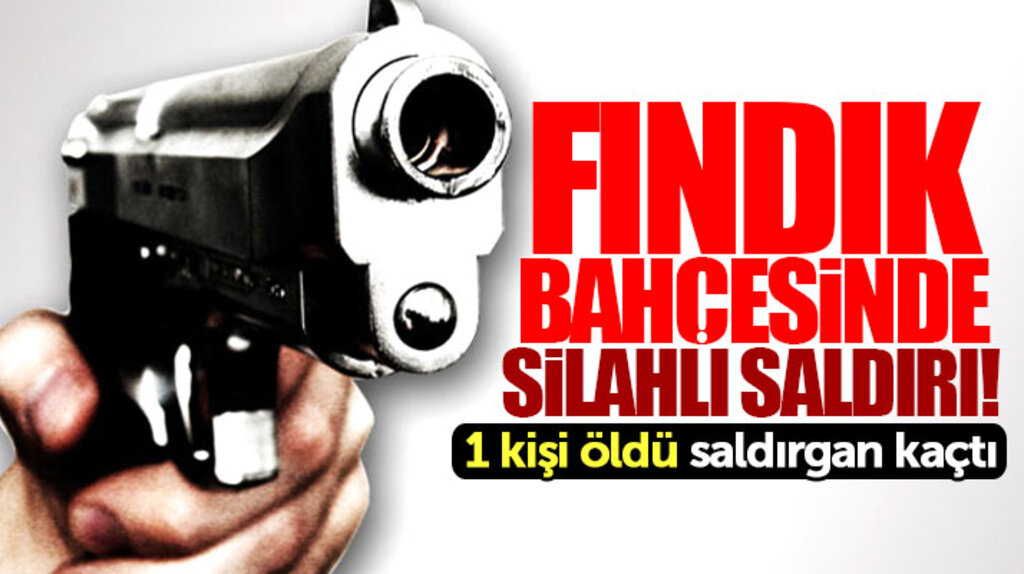 Samsun Ayvacık'ta fındık bahçesinde silahlı saldırı düzenlendi 1 kişi hayatını kaybetti