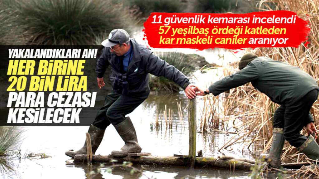 Samsun'da 57 ördeği katleden 3 avcıya yakalandıkları an 20 bin lira para cezası kesilecek