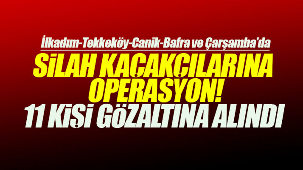 Samsun ve 5 ilçede silah kaçakçılarına yapılan operasyonda 11 kişi gözaltına alındı