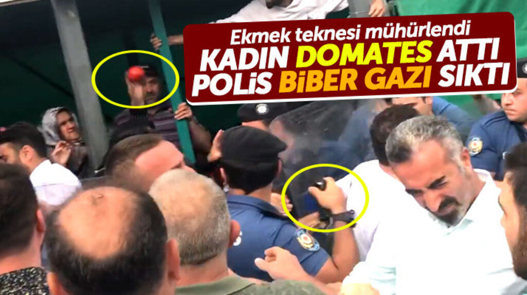 Samsun'da olaylı mühürleme! Kadın domates fırlattı, polis biber gazı sıktı