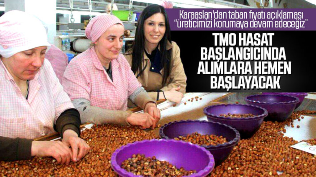 Çiğdem Karaaslan: Açıklanan fındık fiyatı hükümeti yıpratma çabası içinde olanları üzdü