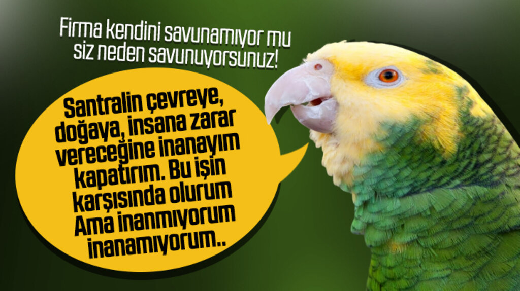 Samsun'da biyokütle santralini firma yerine neden belediye başkanları savunuyor
