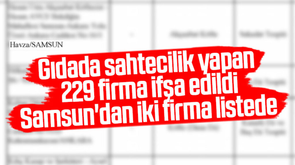 Gıdada sahtecilik yapan 229 firma listesinde Samsun'dan iki firma yer aldı