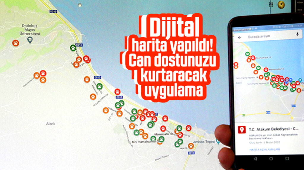 Atakum Belediyesi aç kalmasınlar diye can dostlar için dijital harita yaptı